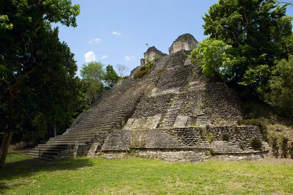 Piramide in de jungle — Stockfoto