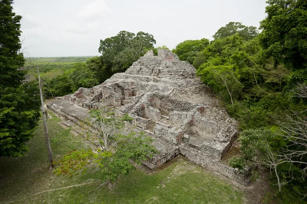 Pirámide maya en ruinas rodeada de selva — Foto de Stock