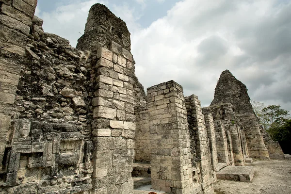 Ruiny starých Mayů — Stock fotografie