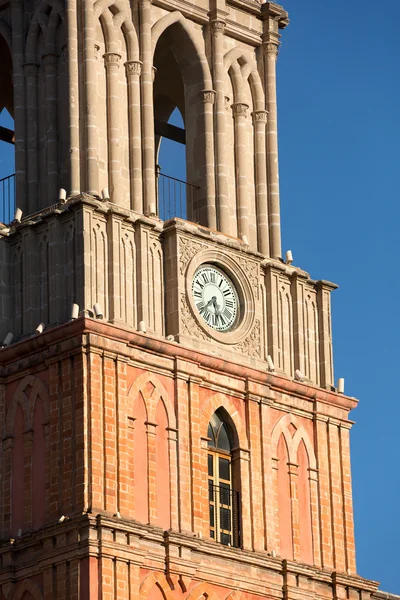 Detalles de la torre catedral — Foto de Stock