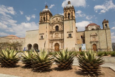 The Santo Domingo church in Oaxaca city clipart