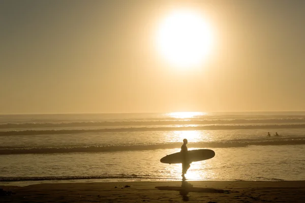 Günbatımında sörfçü yürür — Stok fotoğraf