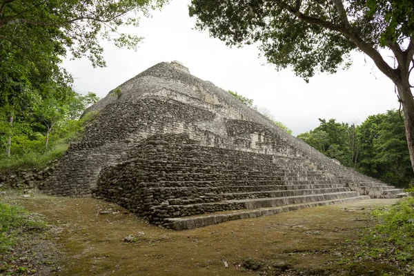 Maya tempel in de jungle — Stockfoto