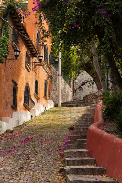 rustic street leading uphill