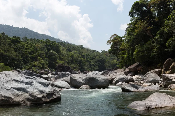Rivière Cangrejal dans le parc national pico Bonito Honduras — Photo