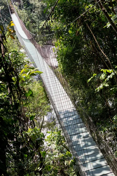 Підвісний міст в Гондурасі джунглях Піко Bonito — стокове фото