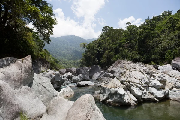 Cangrejal river in Pico Bonito national park in Honduras Royalty Free Stock Images