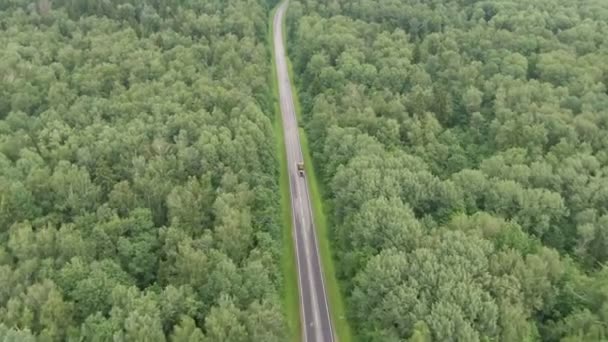 Luchtfoto vliegen over de weg met vrachtwagen bewegen, dat door rijstrook groen bos. Vrachtwagen rijdt langs de bosweg. Vrachtwagen rijdt door dennenbos. Drone schot van boven — Stockvideo