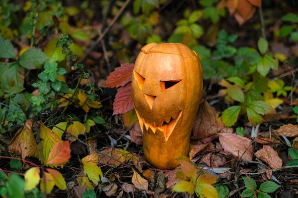 Halloween Lucerna Dýně Jack Lucerna Stojí Podzimním Listoví — Stock fotografie