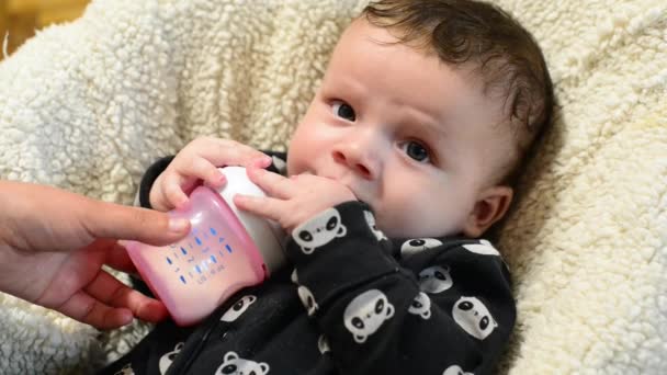 Güzel, yeni doğmuş bebek oğlan bir bebek şişesinden bebek maması sütüyle besleniyor. — Stok video