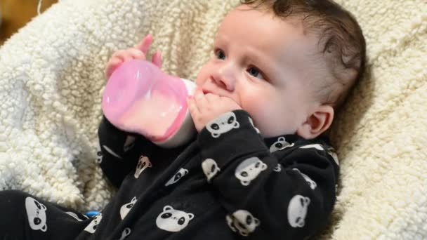 Engraçado pequeno bebê bebê recém-nascido tenta chupar leite fórmula infantil de uma mamadeira com um mamilo, mas sem a ajuda de sua mãe ele não pode fazer nada — Vídeo de Stock