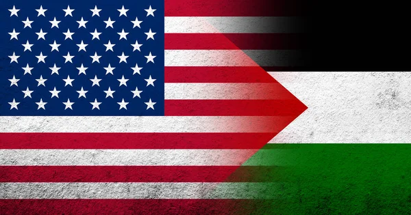 United States America Usa National Flag Flag Palestine Grunge Background — Stock Photo, Image