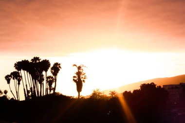 Kaliforniya gün batımı - palmiye ağaçlarıyla sıcak güneş ışığı siluetleri, dağlar ve gün batımı, Birleşik Devletler
