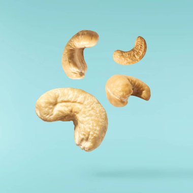 Turkuaz arka planda izole edilmiş taze kaju fıstığı havadan düşüyor. Yiyecek uçurma konsepti. Yüksek çözünürlük.