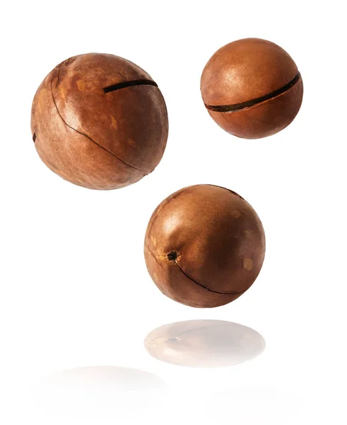 Čerstvé Chutné Makadamia Ořechy Padající Vzduchu Izolované Bílém Pozadí Koncept — Stock fotografie