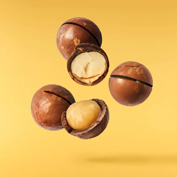 Verse Smakelijke Macadamia Noten Vallen Lucht Geïsoleerd Gele Achtergrond Voedsellevitatie — Stockfoto