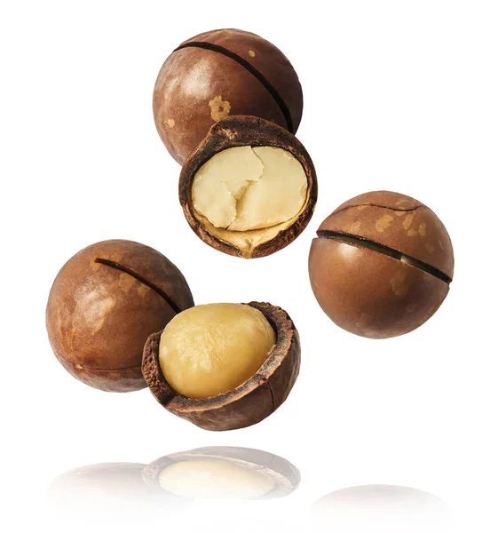 Verse Smakelijke Macadamia Noten Vallen Lucht Geïsoleerd Witte Achtergrond Voedsellevitatie — Stockfoto