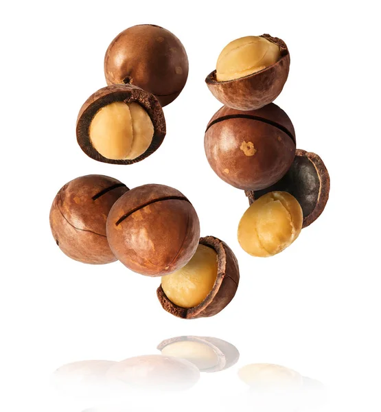 Verse Smakelijke Macadamia Noten Vallen Lucht Geïsoleerd Witte Achtergrond Voedsellevitatie — Stockfoto