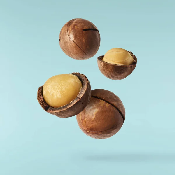 Verse Smakelijke Macadamia Noten Vallen Lucht Geïsoleerd Turquoise Achtergrond Voedsellevitatie — Stockfoto