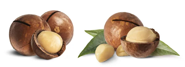 Een Set Met Verse Smakelijke Macadamia Noten Geïsoleerd Witte Achtergrond — Stockfoto