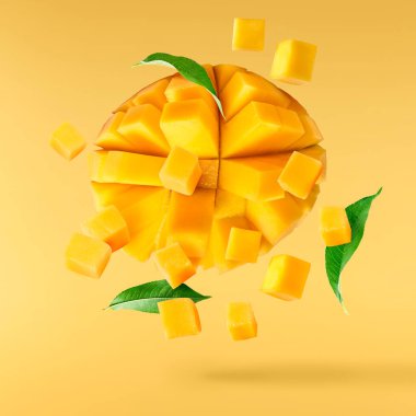 Havaya düşen taze mango yaprakları sarı arka planda izole edilmiş. Yiyecek uçurma konsepti. Yüksek çözünürlük