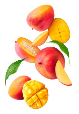 Beyaz arka planda izole edilmiş taze mango yaprakları havada düşüyor. Yiyecek uçurma konsepti. Yüksek çözünürlük