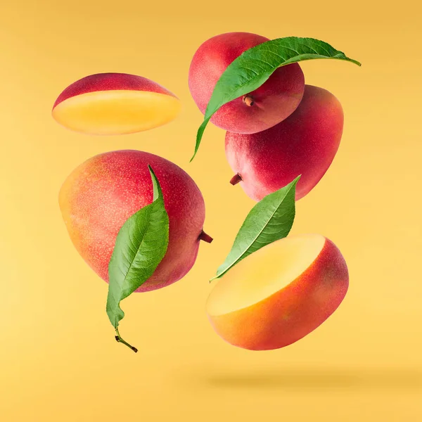 Frische Reife Mango Mit Blättern Die Die Luft Fallen Isoliert — Stockfoto