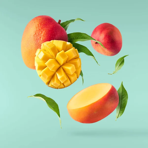 Frische Reife Mango Mit Blättern Die Isoliert Auf Türkisfarbenem Hintergrund — Stockfoto