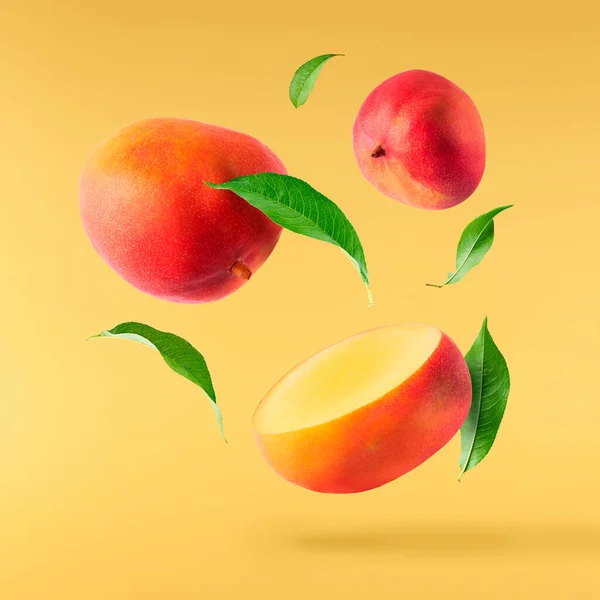 Frische Reife Mango Mit Blättern Die Die Luft Fallen Isoliert — Stockfoto