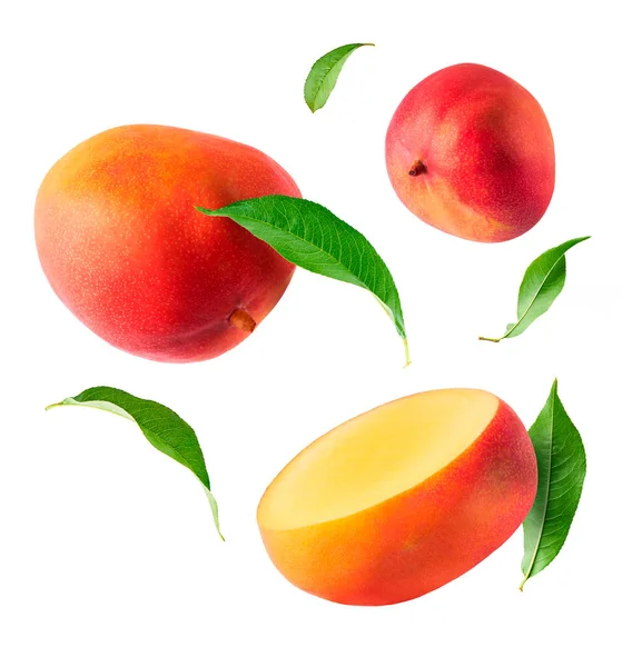 Frische Reife Mango Mit Blättern Die Die Luft Fallen Isoliert — Stockfoto