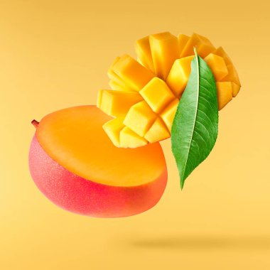 Havaya düşen taze mango yaprakları sarı arka planda izole edilmiş. Yiyecek uçurma konsepti. Yüksek çözünürlük