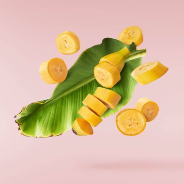 Fresh ripe baby bananas with leaves falling in the air isolated on pink background. Food levitation concept. High resolution image clipart