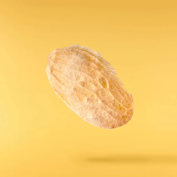 Havaya Düşen Mango Tohumu Sarı Arka Planda Izole Edilmiş Yiyecek — Stok fotoğraf