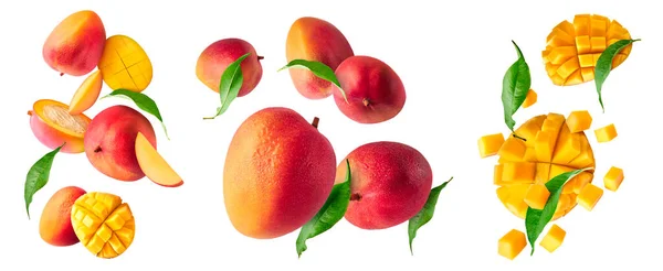Set Fresh Ripe Mango Leaves Falling Air Isolated White Background — Stock Photo, Image
