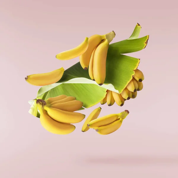 Bananas Bebê Maduras Frescas Com Folhas Caindo Isoladas Fundo Rosa — Fotografia de Stock