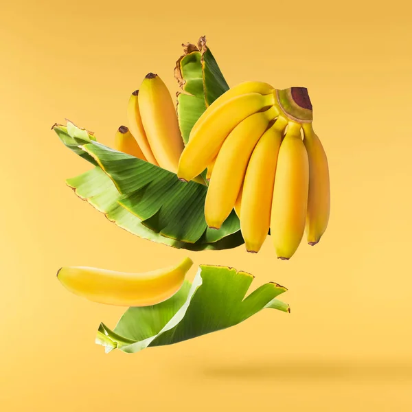 Bananas Bebê Maduras Frescas Com Folhas Caindo Isoladas Fundo Amarelo — Fotografia de Stock