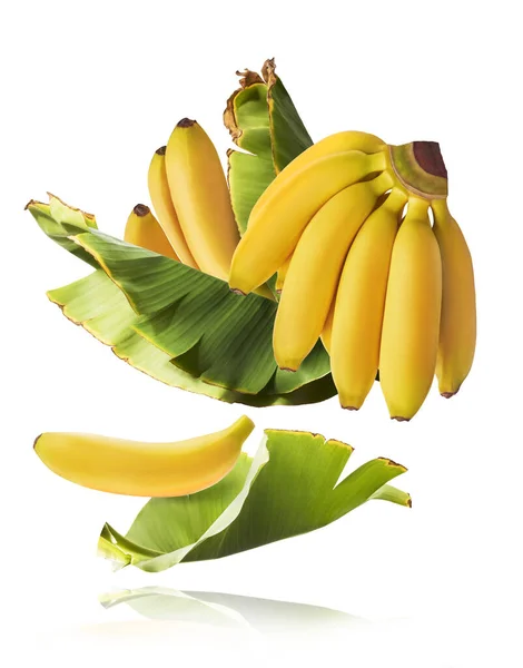 Bananas Bebê Maduras Frescas Com Folhas Caindo Isoladas Fundo Branco — Fotografia de Stock