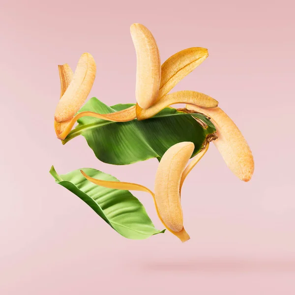 Bananas Bebê Maduras Frescas Com Folhas Caindo Isoladas Fundo Rosa — Fotografia de Stock