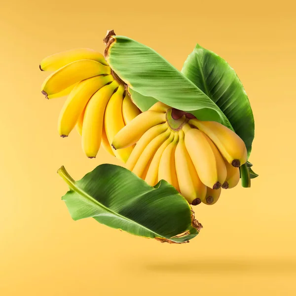 Bananas Bebê Maduras Frescas Com Folhas Caindo Isoladas Fundo Amarelo — Fotografia de Stock