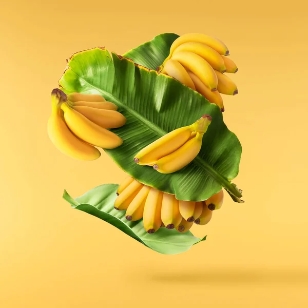 Bananas Bebê Maduras Frescas Com Folhas Caindo Isoladas Fundo Amarelo — Fotografia de Stock