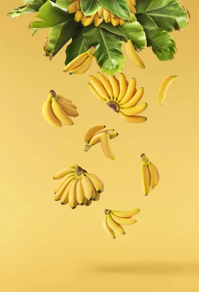 Свіжі Стиглі Дитячі Банани Листям Падають Повітрі Ізольовані Жовтому Тлі — стокове фото