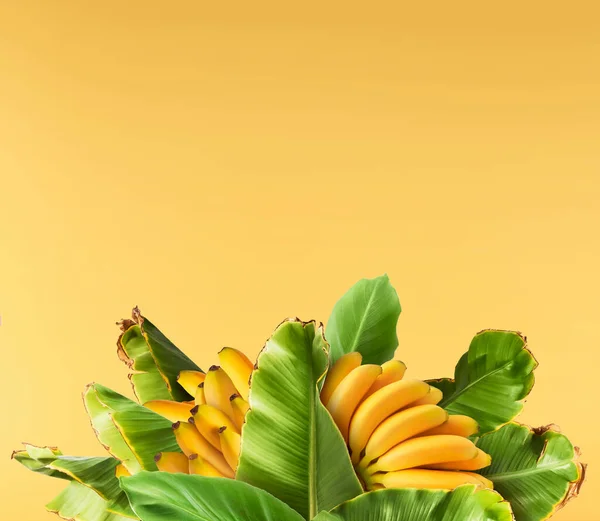 Świeże Dojrzałe Banany Dla Dzieci Zielonymi Liśćmi Żółtym Tle — Zdjęcie stockowe