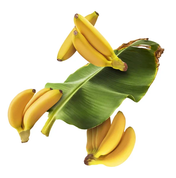 葉が白い背景に隔離された空気中に落ちる新鮮な熟した赤ちゃんバナナ 食物浮遊の概念 高解像度画像 — ストック写真