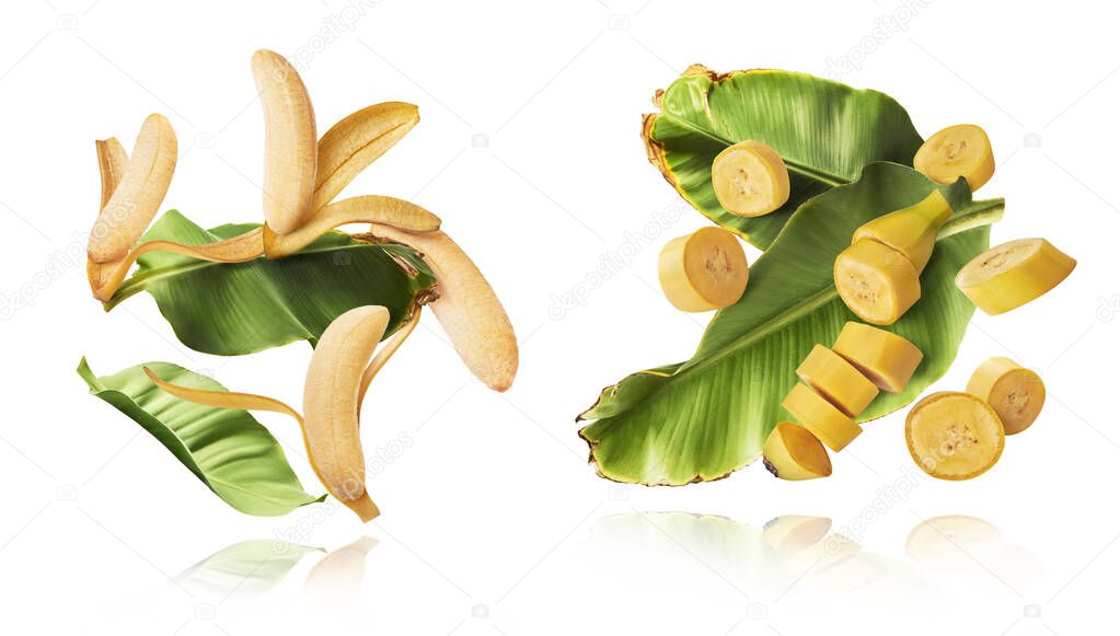 A set with Fresh ripe baby bananas with leaves falling in the air isolated on white background. Food levitation concept. High resolution image