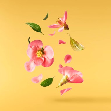 Sarı arka planda havada uçuşan pembe çiçeklerin güzel bir görüntüsü. Yükselme gebeliği. Hugh çözünürlük