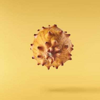 Havaya düşen taze kiwano sarı arka planda izole edilmiş. Sıfır yerçekimi ya da havada kalma. Yüksek kaliteli çözünürlük resmi