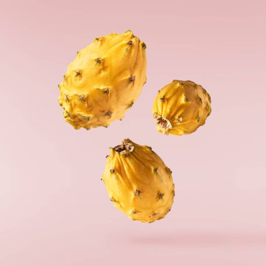 Havaya düşen taze sarı pitaya ile yaratıcı görüntü, sıfır