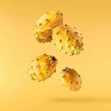 Havaya düşen taze sarı ejderha meyvesi ya da pitaya içeren yaratıcı bir görüntü. Aydınlatıcı sarı arka planda izole edilmiş. Havada asılı kalma ya da sıfır yerçekimi besin anlayışı. Yüksek çözünürlük