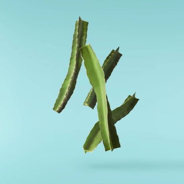 Taze ejderha meyveli yaratıcı görüntü ya da turkuaz arka planda izole edilmiş havaya düşen pitaya kaktüsü, havada asılı kalma ya da sıfır yerçekimi besin konsepti. Yüksek çözünürlük