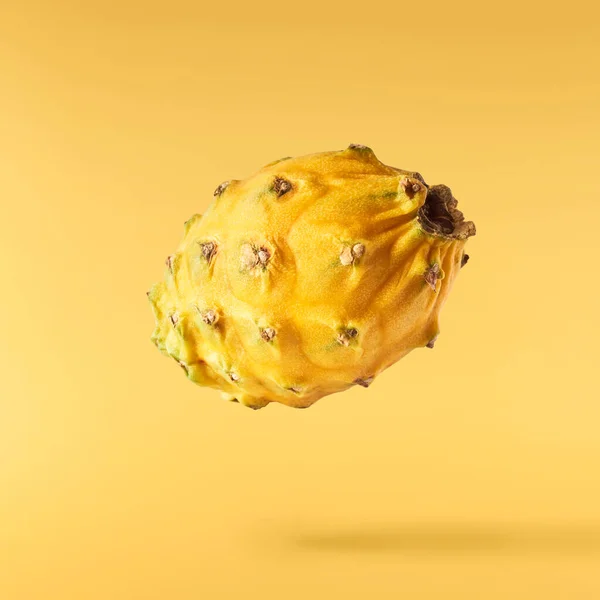 Imagem Criativa Com Fruta Dragão Amarelo Fresco Pitaya Caindo Isolado — Fotografia de Stock